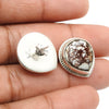 Natural Wild Horse Jasper Sterling Silver Sister Anniversary Stud Bezel Earrings