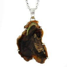 Delicate Light !! 925 Sterling Silver Petrified Wood Pendant